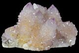 Cactus Quartz (Amethyst) Crystal Cluster - South Africa #132520-1